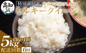 ミルキークイーン 定期便 ６回 特別栽培米 ミルキークイーン ５ｋｇ 令和８年産 - 定期便 お米 米 白ご飯 ごはん 精米 お弁当 おにぎり おむすび 炊き込みご飯 美味しい 防災 非常食 高知県 香南市 常温 Wsr-0006