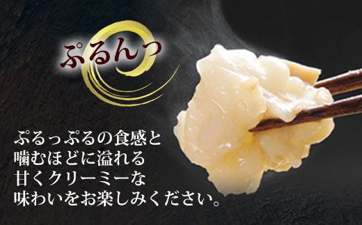 博多もつ鍋やまや もつ鍋セットあごだし醤油味（5-6人前）【やまや】_HA1703