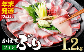 ＼2026年12月25日発送！先行予約／かぼす ブリ フィレ (1.2kg) ぶり 鰤 刺身 国産 魚 海産物 海鮮丼 ぶりしゃぶ 冷蔵 【JP005-1225】【三共物商】