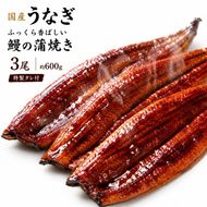 【国産うなぎ】ふっくら香ばしい 鰻の蒲焼き 3尾 容量600g 特製タレ付 うなぎ ウナギ 蒲焼 うな重 温めるだけ 湯せん ギフト 贈り物