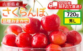FYN6-531 ≪2026年先行予約≫山形県産 さくらんぼ 品種おまかせ(佐藤錦・紅秀峰など) 720g(180g×4P) 秀 L以上 フードパック詰め 2026年6月中旬頃より発送 果物 くだもの フルーツ サクランボ チェリー 家庭用 自宅用 産地直送 山形県 西川町 月山