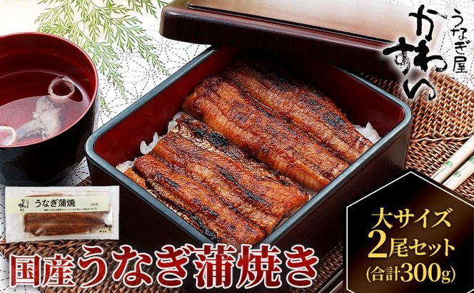 国産うなぎ  蒲焼き 大サイズ 2尾セット(合計300g) タレ付き 国産 うなぎ ウナギ 鰻 蒲焼 かば焼き 2尾 セット 惣菜 冷凍
