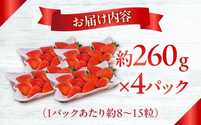 【2025年1月中旬〜発送】【数量限定】いちご「ゆめのか」 約260g × 4P / イチゴ 苺 フルーツ 果物 産地直送 朝摘み / 南島原市 / O' Berry![SGA001]