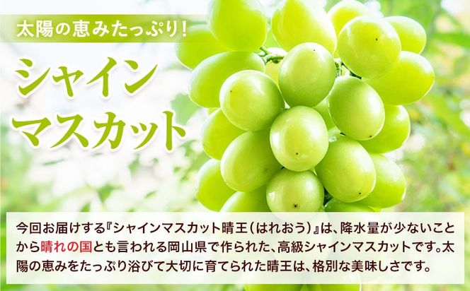【2026年先行予約】シャインマスカット 晴王 はれおう 4房(1房480g以上) 約2kg 株式会社山博《2026年8月下旬-10月下旬頃出荷》岡山県 笠岡市 晴王 ぶどう マスカット 大粒 フルーツ 秀品 旬 果物 贈り物 ギフト 送料無料【配送不可地域あり】---Y-27a---