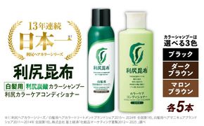 【色が選べる！10本セット】［白髪用］利尻炭酸カラーシャンプー＋利尻カラーケアコンディショナー 糸島市 / 株式会社ピュール ヘアケア コンディショナー [AZA058] シャンプー 白髪染め カラーシャンプー コンディショナー 無添加 ノンシリコン