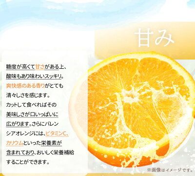 G7078_希少な 国産 バレンシアオレンジ 2.5kg 秀品