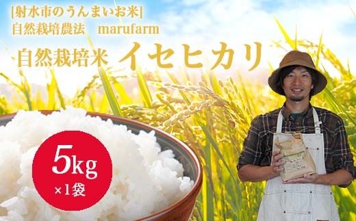 【射水の美味しいお米】【自然栽培農法】自然栽培農家 marufarm 自然栽培米「イセヒカリ」5kg ※2026年10月～発送
