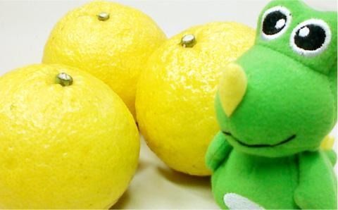 【年内発送】【先行予約】 爽やか に 甘い ！ 糸島産 「 はるか 」 お試し用 約 3kg 【2025年3月より順次発送】二丈赤米産直センター[ABB003]