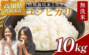 【令和8年産】無洗米 高知県香南市産 特別栽培米 真空パック コシヒカリ 10kg 国産 米 お米 おこめ こしひかり 白米 ごはん おにぎり おむすび ご飯 農業公社 高知県 香南市 常温 nu-0004
