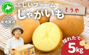 ＜先行予約＞北海道産 じゃがいも(とうや) 約5kg | ジャガイモ 馬鈴薯 ポテト 芋 イモ 国産 野菜 人気 ふじいファーム