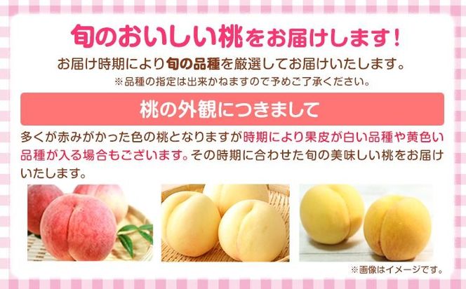 【秀品】和歌山 桃 5～8玉入 ときわオンライン《2025年6月下旬～9月中旬頃出荷》和歌山県 紀の川市 フルーツ 果物 桃 お中元 贈り物 ギフト 産地直送 農家直送---wsk_ctkw13_6g9c_24_13000_5t---
