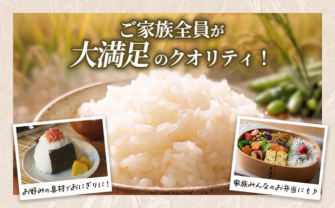 【令和8年産】【精米】茨城あきたこまち20kg(5kg×4袋)