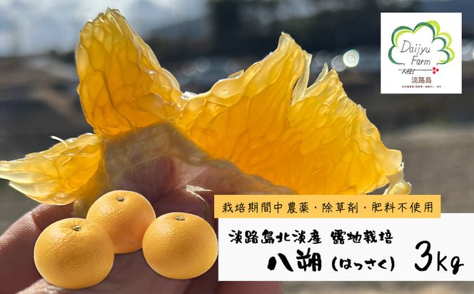 淡路島北淡産 露地栽培八朔（はっさく） -栽培期間中、農薬・除草剤・肥料不使用 -　約３kg