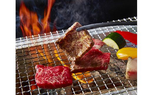 【定期便】A5等級特選近江牛おすすめ部位 焼肉3種（1kg×3回）【FO21W】