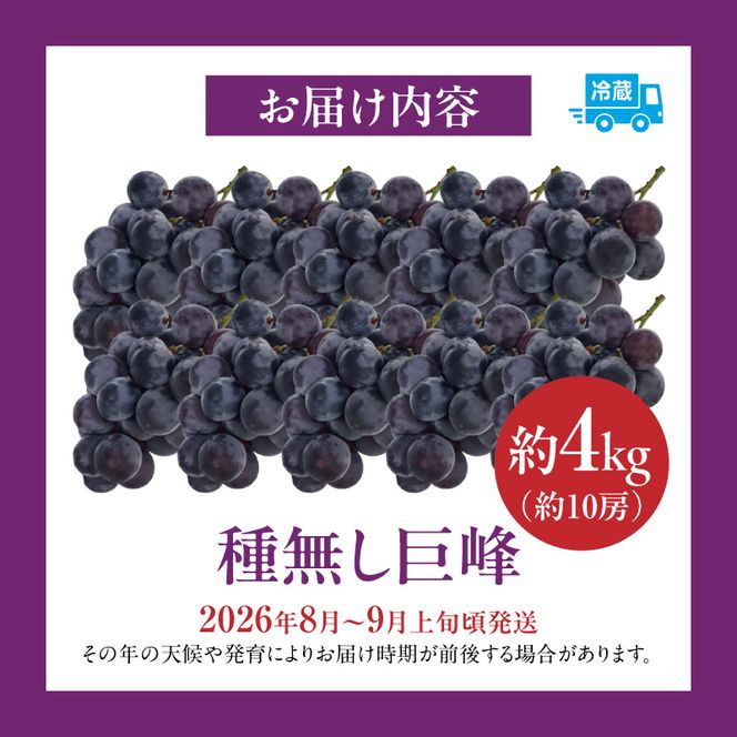 種無し巨峰 約4kg（約10房） 2026年 先行予約 種なしぶどう ［098O04］
