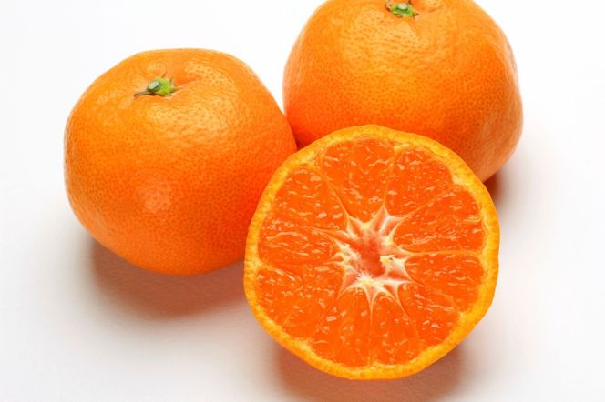 [先行予約]［濃厚・まろやか］有田産樹上越冬完熟みかん大玉約5kg（3L・4Lサイズ・秀優混合品）★2027年1月下旬頃より順次発送  	BZ143