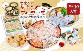 とらふぐフルコース【極】吉宝ふぐ(40cm赤絵皿全盛り・8～10人前、白子、唐揚げセット)『焼きひれ/特製ポン酢/もみじおろし付き』【2025年12月下旬から2026年4月上旬順次発送】