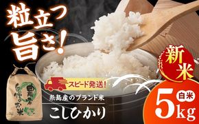【令和8年産】 こしひかり 白米 5kg 糸島市産 糸島市 / 糸島の恵み コメ こめ ご飯[AGR021]