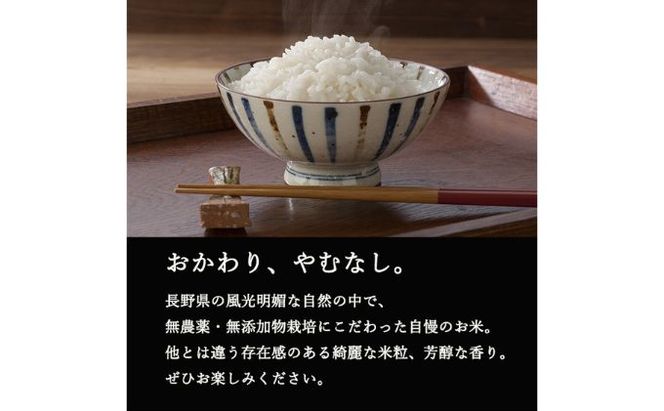 ミルキークイーン 玄米 5kg 令和7年産 米 お米 5キロ 産地直送 こめ コメ おこめ 送料無料 長野 長野県 長野県産 小諸 小諸市