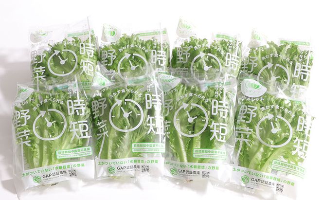 なばリーフ フリルレタス パック 8p入/ 水耕栽培 時短 野菜 レタス 特殊フィルム包装 新鮮 洗わずに食べられる 無洗 サラダ お鍋 スープ ラーメン サンドウィッチ 手軽 安全 安心 栄養 健康