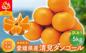【先行予約】【訳あり】産地直送！愛媛県産清見タンゴール 5kg（2027年2月下旬より順次発送）IKTF035