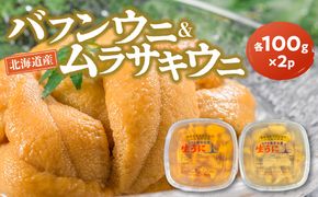 【2027年夏発送】塩水ウニ【バフンウニ＆ムラサキウニ】各100g×2パック 北海道余市町産 塩水ウニ発祥の地 高級ウニ 高級雲丹 ムラサキウニ 白ウニ バフンウニ 赤うに 目利き 北海道産ウニ 余市産ウニ 雲丹 うに 塩水うに _Y037-0359
