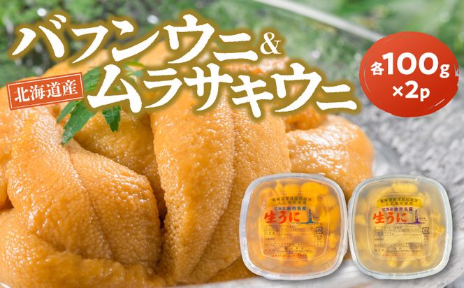 【2027年夏発送】塩水ウニ【バフンウニ＆ムラサキウニ】各100g×2パック 北海道余市町産 塩水ウニ発祥の地 高級ウニ 高級雲丹 ムラサキウニ 白ウニ バフンウニ 赤うに 目利き 北海道産ウニ 余市産ウニ 雲丹 うに 塩水うに _Y037-0359