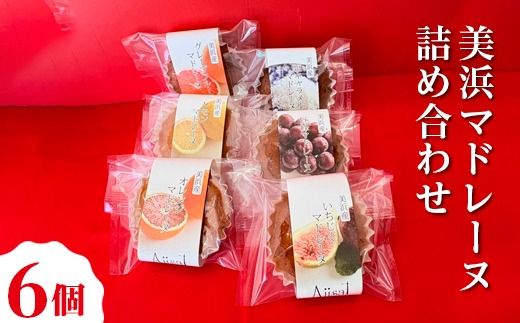 美浜マドレーヌ詰め合わせ　6個 ｜ マドレーヌ おためし お試し 焼き菓子 洋菓子 おやつ お菓子 おかし スイーツ おすすめ 人気 詰め合わせ セット 贈り物 プレゼント ギフト 愛知県 美浜町
