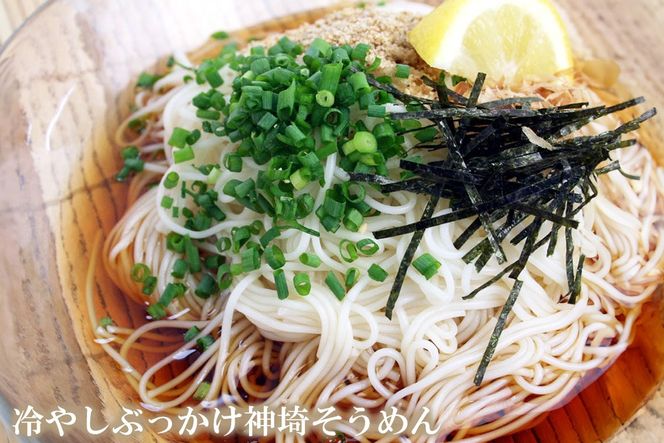 佐賀県特産品 神埼そうめん 10入 【素麺 そうめん 乾麺 お中元 贈答用 無添加 夏 自家用 麺類 簡単 手軽 保存食 佐賀県産 国産】(H014144)