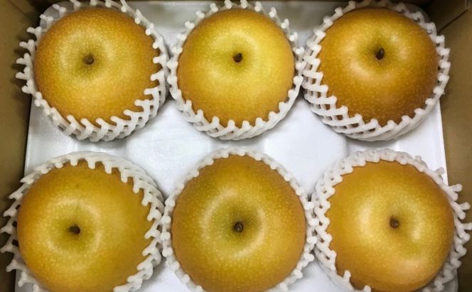 梨 あきづき まるで食べる梨ジュース！！甘熟 あきづき梨 約2.5kg 4～7玉入 配送不可 離島 ナシ 果物 フルーツ 先行予約 