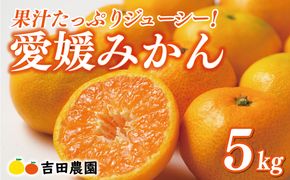 先行予約 愛媛みかん 5kg 13000円 愛媛 みかん 温州みかん こたつ みかん mikan 蜜柑 ミカン 家庭用 贈答用 ギフト プレゼント お歳暮 産地直送 国産 農家直送 糖度 期間限定 数量限定 特産品 ゼリー ジュース アイス 人気 限定 甘い フルーツ 果物 柑橘 先行 事前 予約 受付 ビタミン 美味しい おいしい 吉田農園 愛南町 愛媛県