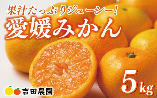 先行予約 愛媛みかん 5kg 13000円 愛媛 みかん 温州みかん こたつ みかん mikan 蜜柑 ミカン 家庭用 贈答用 ギフト プレゼント お歳暮 産地直送 国産 農家直送 糖度 期間限定 数量限定 特産品 ゼリー ジュース アイス 人気 限定 甘い フルーツ 果物 柑橘 先行 事前 予約 受付 ビタミン 美味しい おいしい 吉田農園 愛南町 愛媛県
