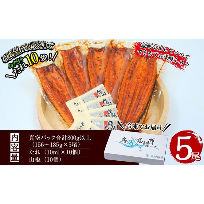 国産うなぎ蒲焼名水慈鰻5尾（合計800ｇ以上） c0-124