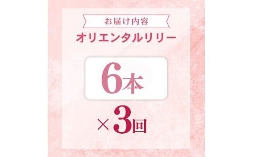 定期便3回 ユリ オリエンタルリリー 6本 花 切り花 プレゼント 贈り物 ギフト 誕生日 記念日 つぼみ 大輪 ピンク 白 香り 優雅 華麗 ブーケ フラワーアレンジメント 観賞用 インテリア 季節の花 高級感 花束 生花 福田園芸 オリエンタルハイブリッド 安芸市 高知県