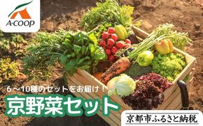 【エーコープ京都中央】おまかせ京野菜セット［ 京都 野菜 新鮮 人気 おすすめ 美味しい 旬の野菜 上賀茂野菜 スタッフ厳選 詰め合わせ お取り寄せ 通販 送料無料 ふるさと納税 ］ 261009_B-WB08