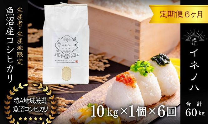 ＜定期便・全6回＞【令和7年産】魚沼産コシヒカリ「イネノハ 」精米(10kg×1)×6回 お米 白米 ご飯 産地直送 ミネラル 栄養分 こだわり 人気 新鮮 