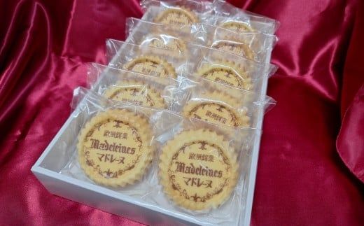 マドレーヌ詰め合わせ10個入(A1116-1)