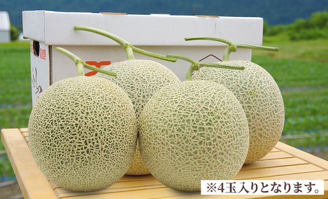 ＜2026年発送＞富良野メロン (赤肉) 夏ギフト 品種おまかせ 秀品 4玉入 1.8kg以上 [ メロン フルーツ 果物 北海道 富良野 ]