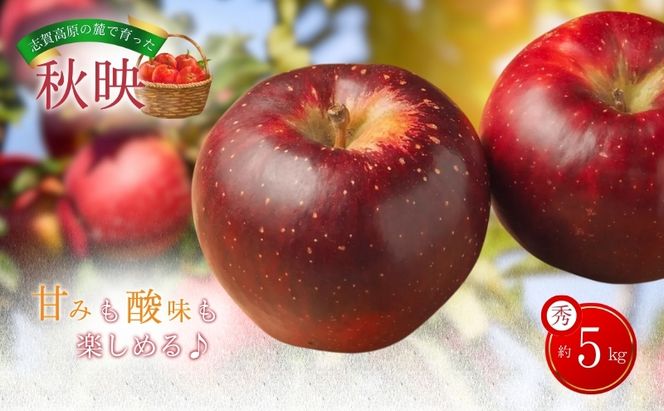 【2026年発送】志賀高原の麓で育った 秋映 秀16玉 約5kg りんご リンゴ フルーツ 果物 デザート おやつ 長野県 長野