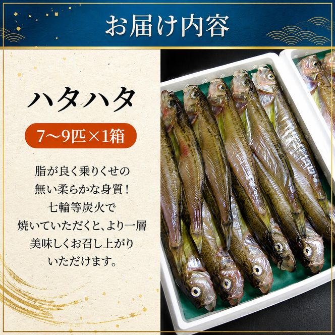ハタハタ（特々大）干物 一夜干し 450g ×1箱【配送不可：離島】 魚貝類 myz02 myz11 myz17