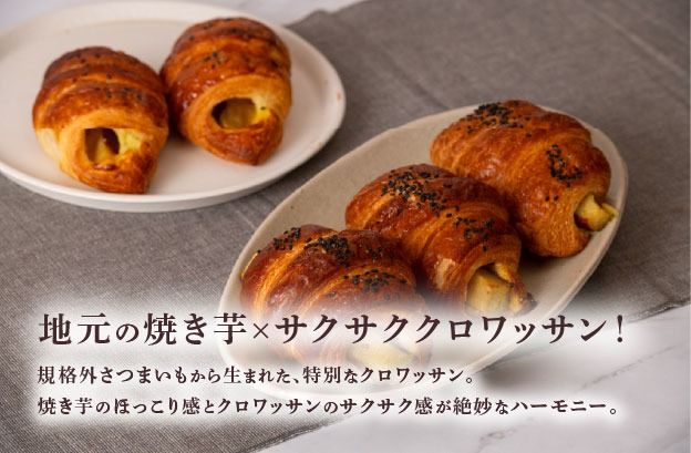 焼き芋 クロワッサン 八千代町産 紅はるか使用 さつまいも パン お菓子 スイーツ デザート 芋 いも 焼いも ふるさと納税 8000円 濃厚 [DF001ya]