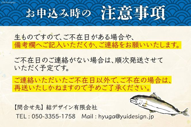 【期間限定発送】 鮎 こだわりの生鮎 約1kg [株式会社 あゆの是則 宮崎県 日向市 452060793] あゆ アユ 魚 魚介 川魚 塩焼き 甘露煮 冷蔵 生あゆ 子持ち鮎