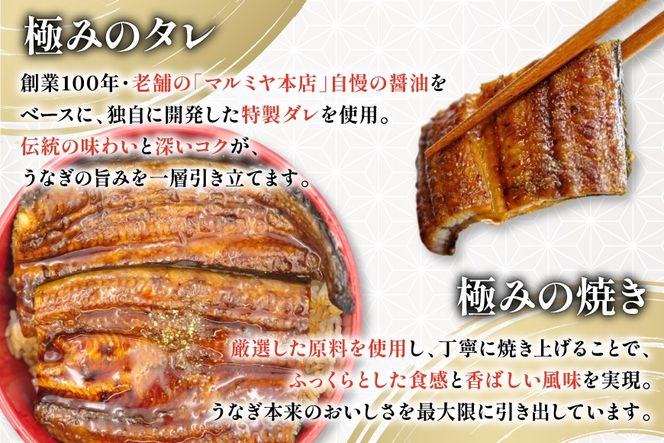 うなぎ 国産 日向極み うなぎ蒲焼 4尾 計480g以上 【たれ・山椒付き】 [日向サンパーク 宮崎県 日向市 452061501] ギフト 小分け 真空パック 鰻 ウナギ うなぎの蒲焼 蒲焼 蒲焼き