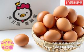 【定期便】10回定期 【天王原のたまご】 ロイヤル卵 30個入り 定期便 たまご 卵