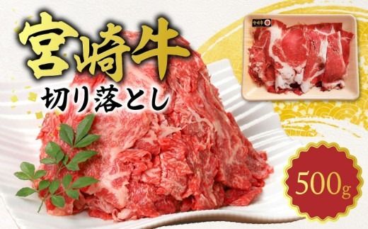 y{茧sz{苍 ؂藎Ƃ500g N0140-YA1107