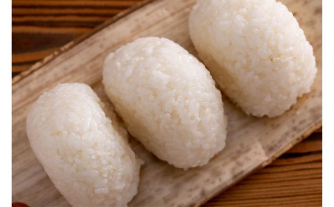 【12カ月定期便】新潟米新之助（精米）5kg お米 コメ 