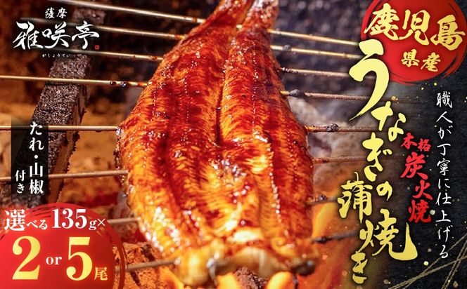 ＜容量選べる＞職人が丁寧に仕上げる本格炭火焼　鹿児島県産うなぎの蒲焼き   K282-001_SKU