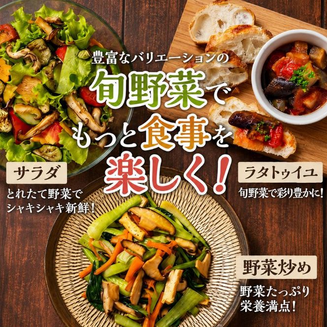 定期便 12回 季節の野菜 詰め合わせ セット 冷蔵 旬