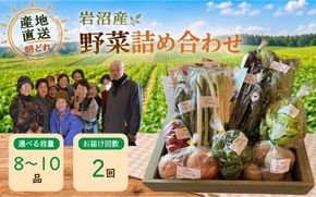 【定期便2ヶ月】宮城県 岩沼産 産地直送 朝どれ 新鮮野菜 8～10種類 詰め合わせセット