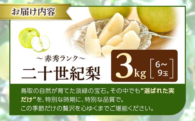 1263.【2026年度発送先行予約】数量限定　二十世紀梨　3kg 313726_CS006